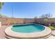 Refreshing backyard pool area featuring decorative plants and privacy wall at 2605 N 115Th Dr, Avondale, AZ 85392