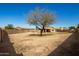 Large backyard with a mature tree offering shade and tranquility at 2977 W Mira Dr, San Tan Valley, AZ 85144