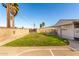 Backyard with well-maintained lawn, a block wall, and mature palm trees in the background at 3614 W Georgia Ave, Phoenix, AZ 85019