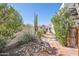 Lush desert landscaping along a walkway and retaining wall at 4309 S Priceless View Dr, Gold Canyon, AZ 85118