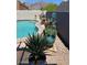 Backyard pool surrounded by desert landscaping and potted plants, offering a private and refreshing oasis at 4309 S Priceless View Dr, Gold Canyon, AZ 85118
