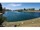Expansive pond showcasing a fountain, gazebo, ducks, and well-maintained green spaces for relaxation at 141 W Jamaica Pl, Casa Grande, AZ 85122