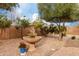 Backyard landscaping with mature trees and a tiered fountain at 3020 E Tiffany Way, Gilbert, AZ 85298