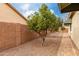 Home side yard with decorative gravel, landscaping, trees, and privacy wall at 3020 E Tiffany Way, Gilbert, AZ 85298