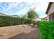 Well maintained backyard featuring low maintenance desert landscaping with a tall privacy hedge at 5405 S Marigold Way, Gilbert, AZ 85298