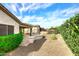 Charming backyard featuring a curved red brick patio, manicured privacy hedges, and desert landscaping at 5405 S Marigold Way, Gilbert, AZ 85298