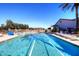 Lap swimming pool surrounded by palm trees and lounge chairs for a relaxing community experience at 5405 S Marigold Way, Gilbert, AZ 85298