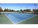 Well-maintained blue tennis court surrounded by lush greenery, inviting players for a competitive match at 5405 S Marigold Way, Gilbert, AZ 85298