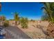A drought resistant backyard with gravel and trees at 817 S 123Rd Dr, Avondale, AZ 85323