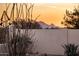 Scenic backyard featuring desert landscaping, privacy wall, and a stunning sunset view at 11627 E Bella Vista Dr, Scottsdale, AZ 85259