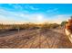 Desert trail with mountain views, natural vegetation, and clear blue skies, perfect for outdoor activities at 11627 E Bella Vista Dr, Scottsdale, AZ 85259