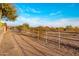 Desert trail with mountain views, natural vegetation, and clear blue skies, perfect for outdoor activities at 11627 E Bella Vista Dr, Scottsdale, AZ 85259