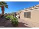 Exterior view of home showcasing a side yard with low-maintenance landscaping and a vibrant palm tree at 12439 W Monte Vista Rd, Avondale, AZ 85392