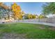 Large grassy backyard with mature trees and block fence, offering privacy and space at 1601 E Elgin St, Chandler, AZ 85225