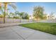 Spacious backyard featuring a well-maintained lawn and a concrete patio, perfect for outdoor living at 1601 E Elgin St, Chandler, AZ 85225