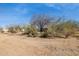 Desert yard with mature trees in a peaceful setting at 43228 N 14Th St, New River, AZ 85087