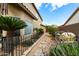 Manicured side yard featuring desert landscaping, walkway and mature palms and shrubbery at 827 W Kesler Ln, Chandler, AZ 85225