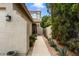 Landscaped walkway leading to the front door at 827 W Kesler Ln, Chandler, AZ 85225