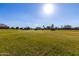 Expansive green space great for community events and recreation, bathed in warm sunlight with a clear blue sky above at 923 W Wendy Way, Gilbert, AZ 85233