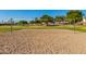 Empty outdoor volleyball court with net on a sunny day, surrounded by a grassy green lawn and mature trees at 923 W Wendy Way, Gilbert, AZ 85233