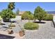 Lush backyard features a cozy hammock, desert landscaping, and mature trees at 9238 W Behrend Dr, Peoria, AZ 85382