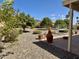 Expansive backyard features desert landscaping, a hammock, and mature fruit trees, creating a private retreat at 9238 W Behrend Dr, Peoria, AZ 85382