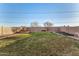 Well-maintained backyard features grass and perimeter plants at 1119 W Heather Ave, Gilbert, AZ 85233