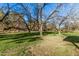 Spacious backyard featuring lush greenery and mature trees, offering a serene and private outdoor retreat at 17335 W Cheryl Dr, Waddell, AZ 85355