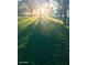 Sunlight streaking through the trees, creating a beautiful scene in the landscaped backyard at 17335 W Cheryl Dr, Waddell, AZ 85355