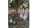 Backyard flooded with water, with trees illuminated with warm string lights at 17335 W Cheryl Dr, Waddell, AZ 85355