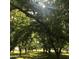 Sunlight streams through lush green trees, creating a peaceful and inviting atmosphere in the outdoor space at 17335 W Cheryl Dr, Waddell, AZ 85355