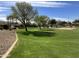 Expansive green space in a well maintained community at 1893 S Sinova S Ave, Gilbert, AZ 85295