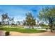 Expansive golf course view featuring manicured green grass, mature trees and shrubs, and a scenic pond at 25821 S Hollygreen Dr, Sun Lakes, AZ 85248