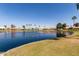 Scenic view of a pond, lined by palm trees and surrounded by houses at 26632 S Branchwood Ct, Sun Lakes, AZ 85248