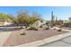 Home exterior featuring desert landscaping, gravel, mature tree, and desert vegetation at 9870 E Little Nugget Way, Gold Canyon, AZ 85118