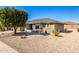 Lovely desert landscaped front yard featuring mature trees and cacti at 11026 E Nopal Ave, Mesa, AZ 85209