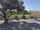 Spacious backyard featuring desert landscaping, mature trees, and a white block wall for added privacy at 13914 W Terra Vista Dr, Sun City West, AZ 85375