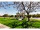 View of a community playground with a playset, swings, and mature trees on a green lawn at 1440 N 40Th St # 4, Mesa, AZ 85205