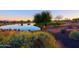 Scenic pond with a view of the golf course, framed by colorful plants, shrubs, and a golden sky at sunset at 17721 E Bismark Lake Ct, Rio Verde, AZ 85263