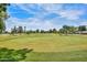 Beautiful golf course view under a sunny sky, showcasing the lush green fairways and mature trees at 18034 N Highwood Ct, Sun City, AZ 85373