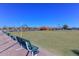 Well-maintained lawn bowling area with benches, lights, and palm trees, great for outdoor recreation at 18034 N Highwood Ct, Sun City, AZ 85373