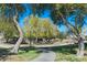 Community park with a walking trail shaded by trees at 2454 E Ebony Dr, Chandler, AZ 85286