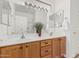 Bathroom vanity featuring a dual-sink, and a decorative plant at 3792 E Westchester Dr, Chandler, AZ 85249