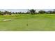 Manicured golf course with vibrant green grass and a clear flag marker on the putting green at 3792 E Westchester Dr, Chandler, AZ 85249