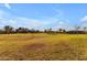 A grassy community park with scattered trees and clear blue skies at 4165 W Park Ave, Chandler, AZ 85226