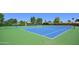 Well-maintained tennis courts surrounded by lush greenery for an active lifestyle at 8653 E Royal Palm Rd # 1033, Scottsdale, AZ 85258