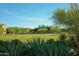 Expansive community green space with desert landscaping and mature trees at 9266 E Desert Village Dr, Scottsdale, AZ 85255