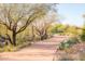 Scenic walking path through desert landscape with mature trees and vegetation at 9266 E Desert Village Dr, Scottsdale, AZ 85255