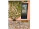Exterior door on a pink wall surrounded by brick pavers and a climbing ivy at 102 W Washington Ave, Gilbert, AZ 85233