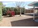 Backyard featuring mature desert landscaping and gravel ground cover at 10621 N 115Th Ave, Youngtown, AZ 85363